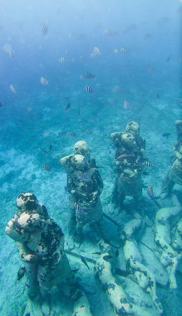 Snorkel en las islas Gili - Tortugas, Corales azules & Estatuas románticas submarinas